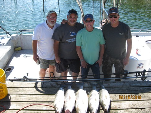 Nice Striped Bass